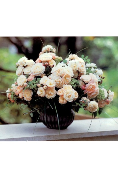 Троянда мускусна Букет Парфе у флористичній композиції